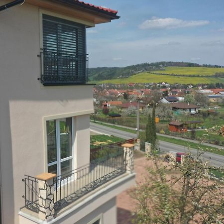 Penzion Renesance Drnovice  Экстерьер фото